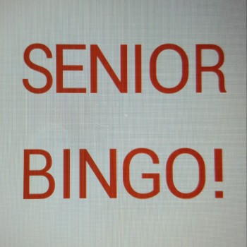 Senior Social & Bingo