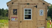Black Arrow Farm