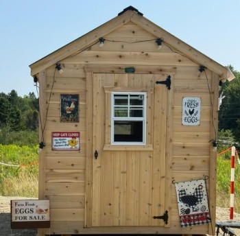 Black Arrow Farm
