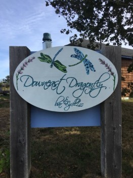 Downeast Dragonfly Bar & Grill, LLC