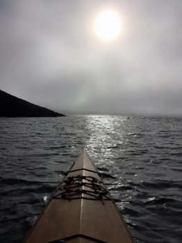 Rodgers Island