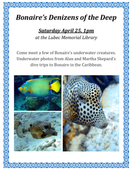 Denizens of the Deep: Fish of Bonaire