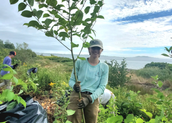 Volunteer Workday: Mowry Beach Knotweed Pull