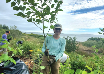 Invasive Japanese Knotweed Pulling Competition