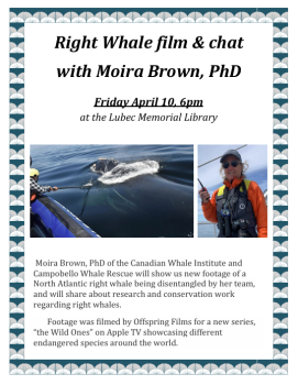 Right Whale film & chat with Moira Brown, PhD