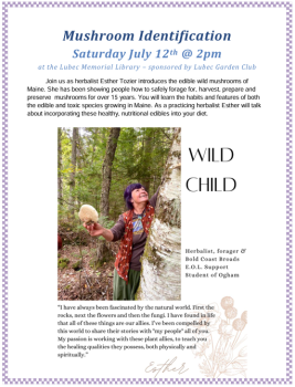 Mushroom ID with Esther Tozier