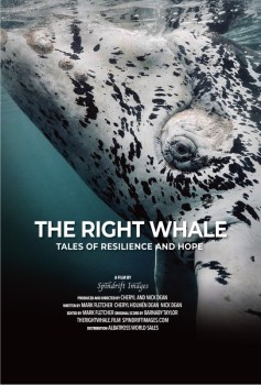 'The Right Whale' film and panel discussion
