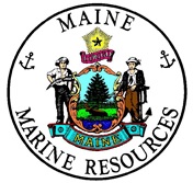 Maine Coastal Cleanup in Lubec!