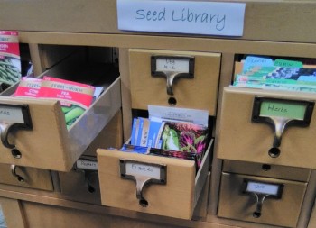 Lubec Seed Library Opens!