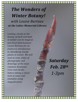The Wonders of Winter Botany with Louise Barteau